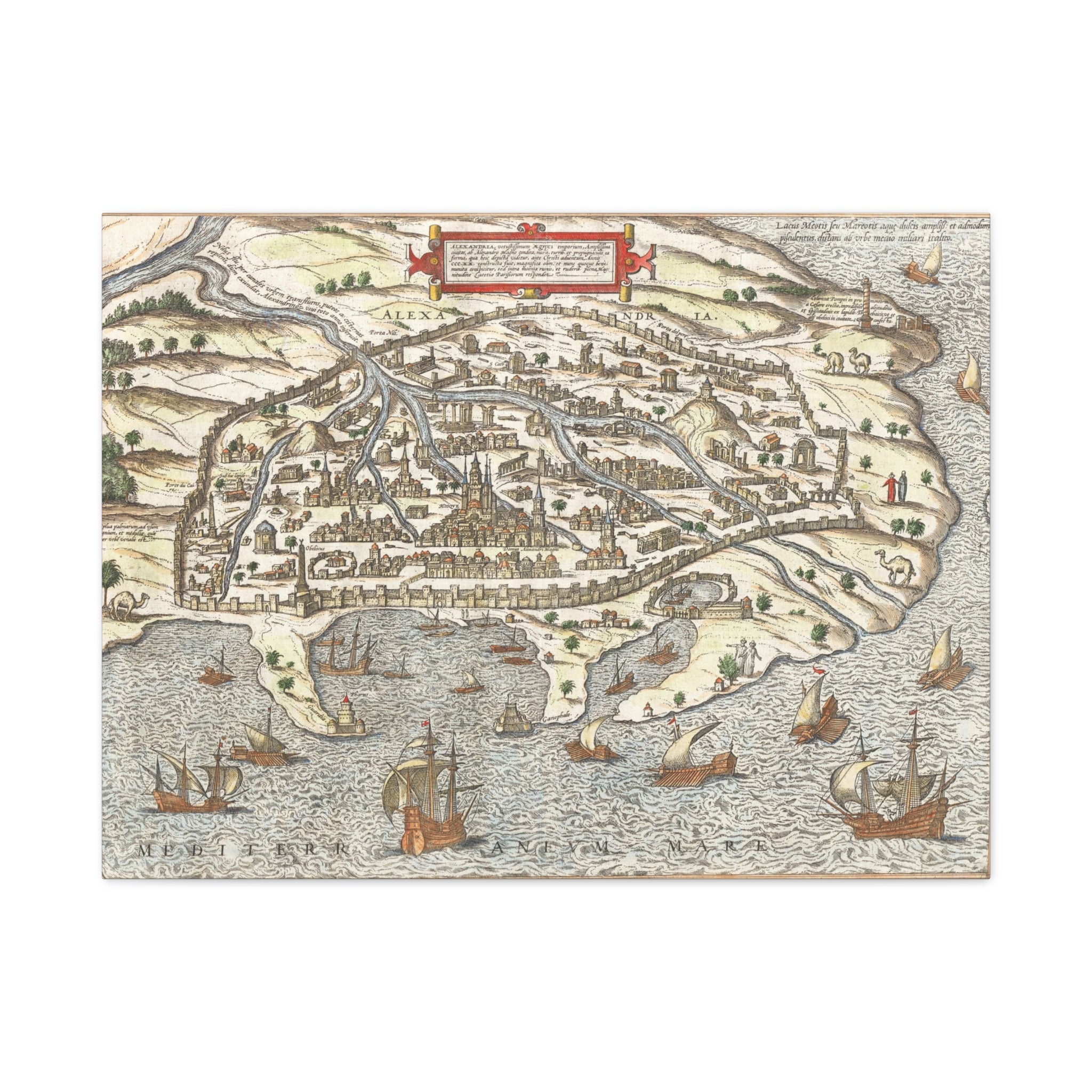 Historic Maps & City Views