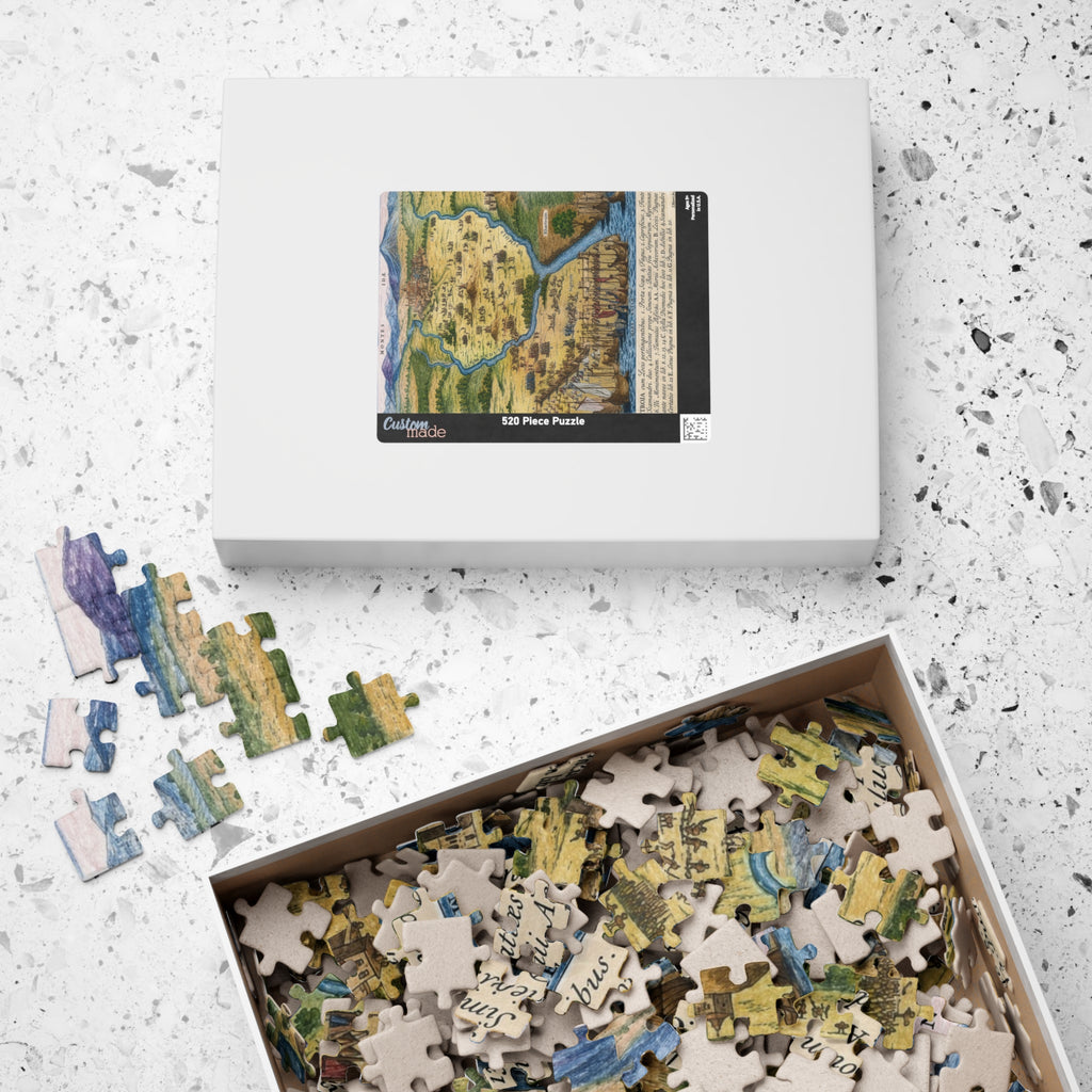 City of Troy Historic Map Jigsaw Puzzle — Vintage Cartography 110/252/520-Piece