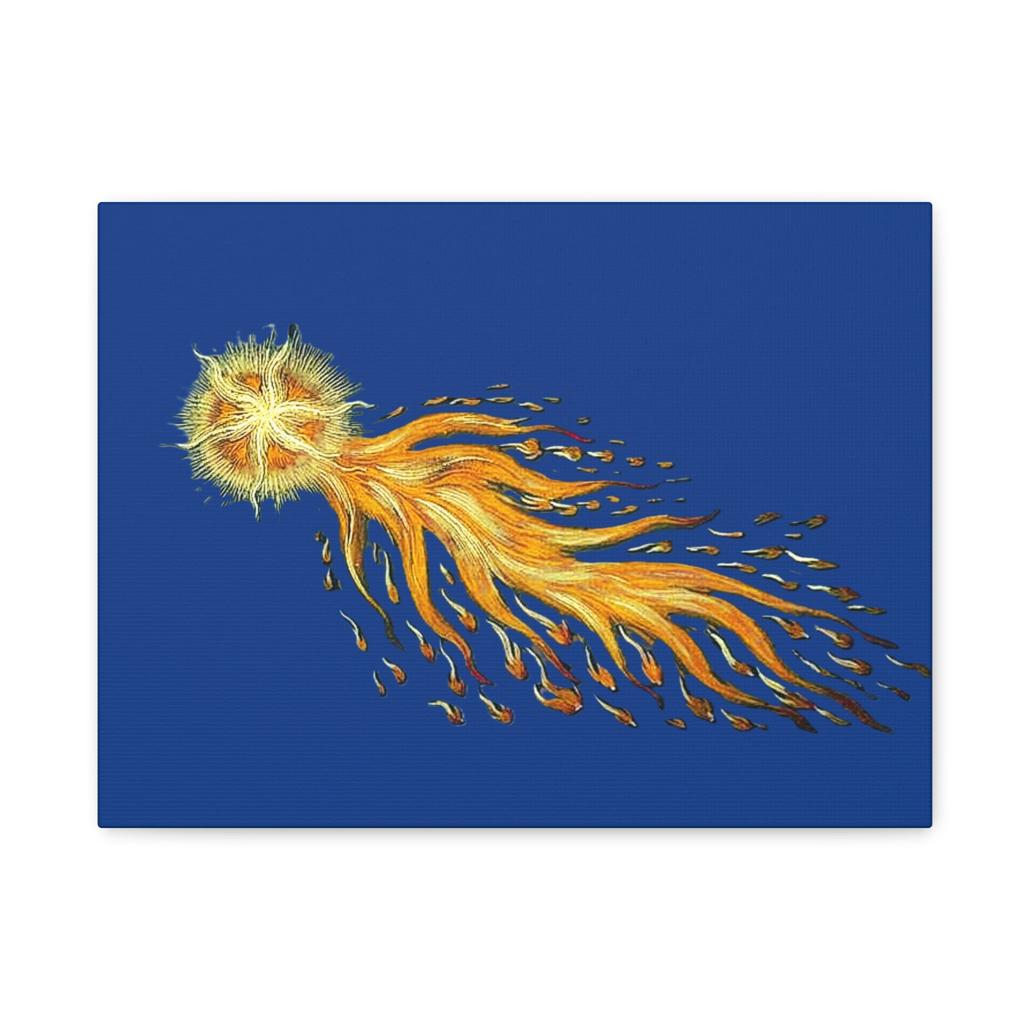 Golden Comet Illustration Matte Canvas