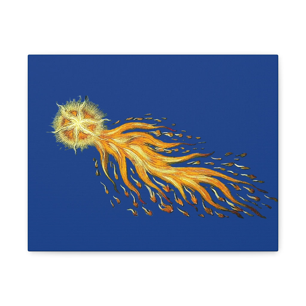 Golden Comet Illustration Matte Canvas
