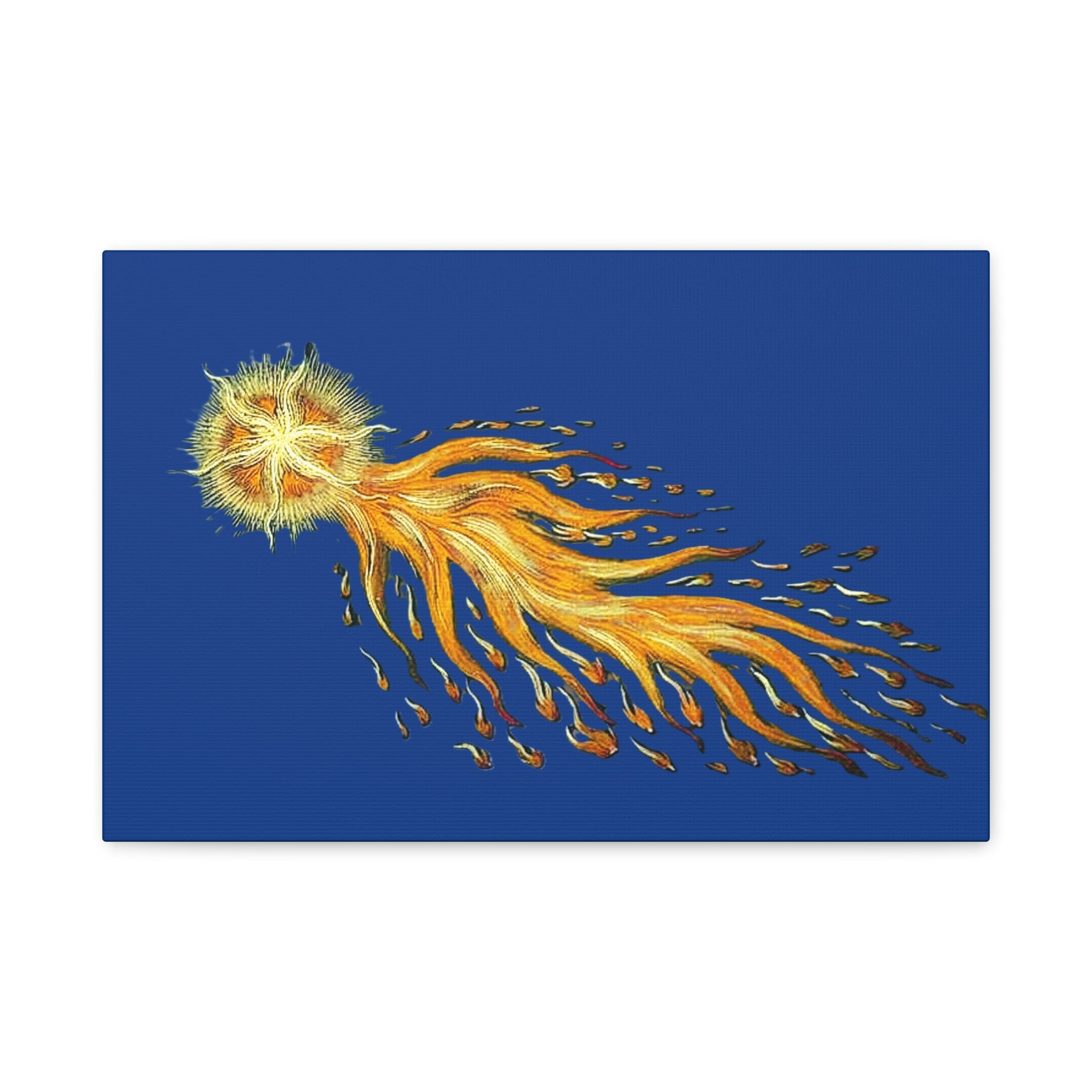 Golden Comet Illustration Matte Canvas