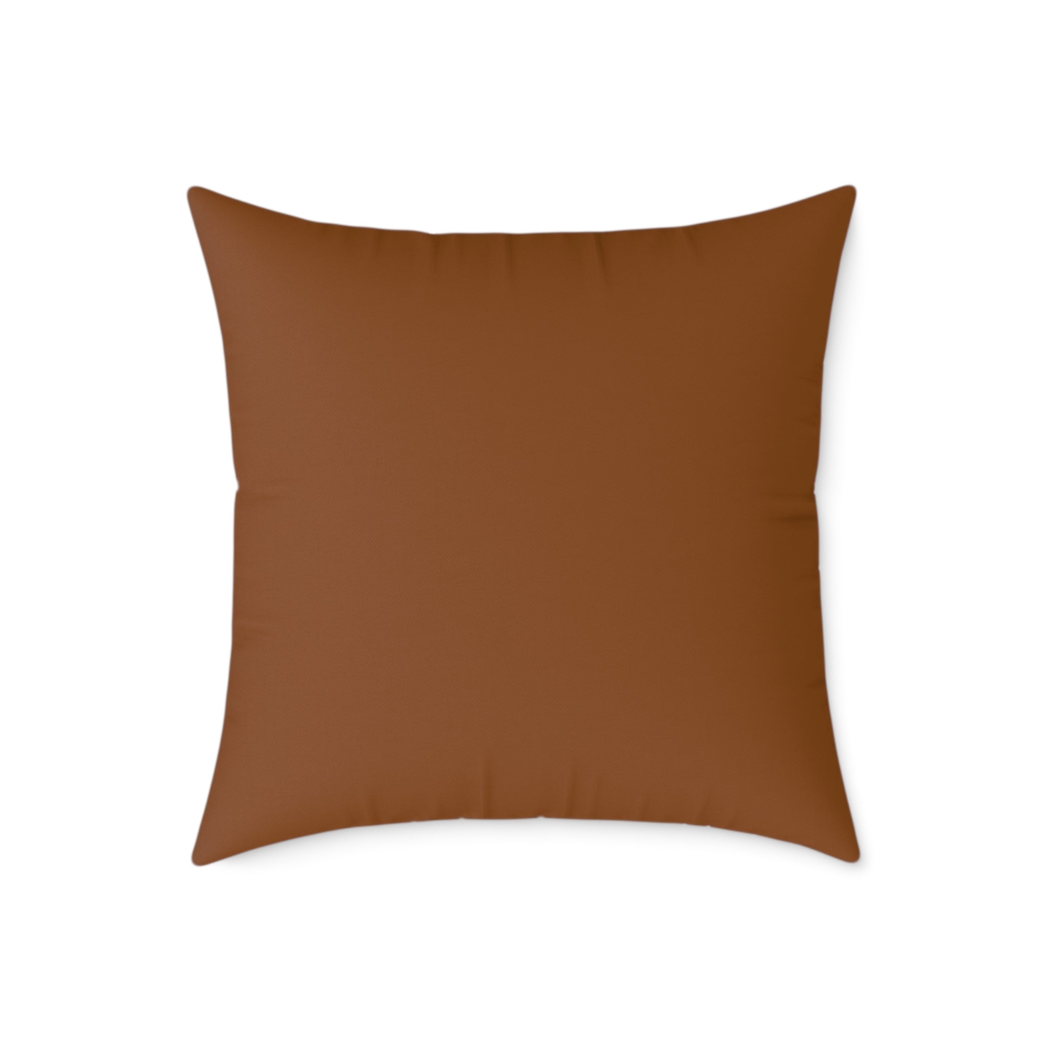 Capitoline Hill & Roman Forum, Ancient Rome Map Pillow | Ancient Rome Throw Pillow