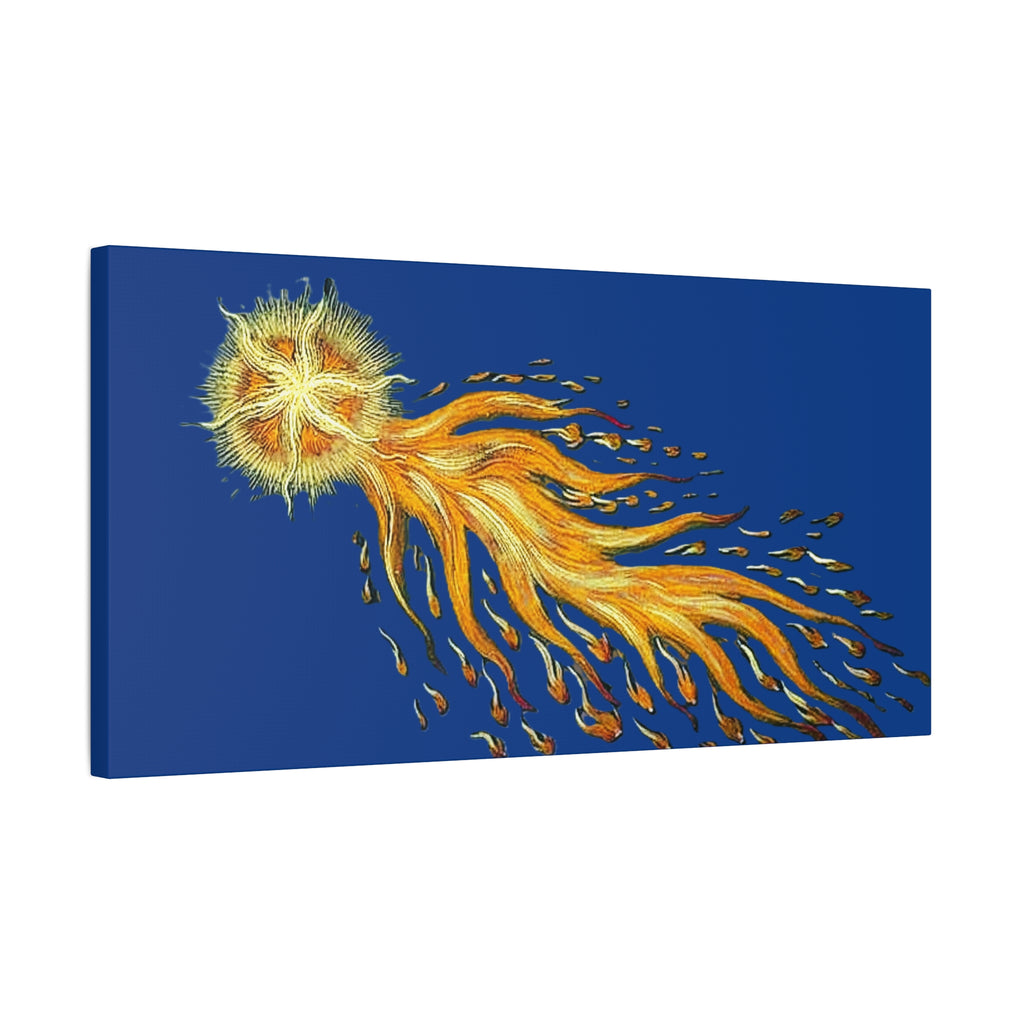 Golden Comet Illustration Matte Canvas