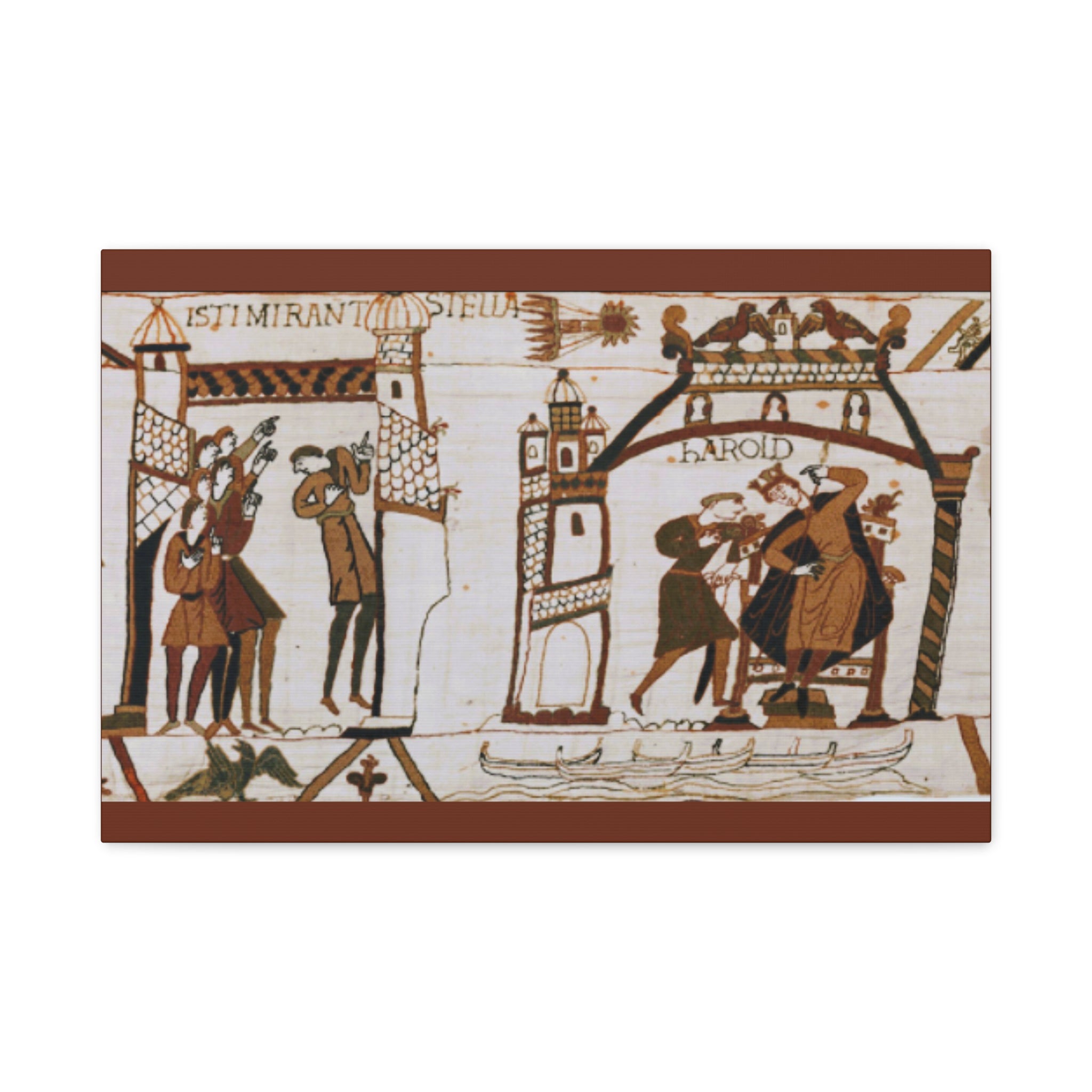 Bayeux Tapestry Halley's Comet Matte Stretched Canvas