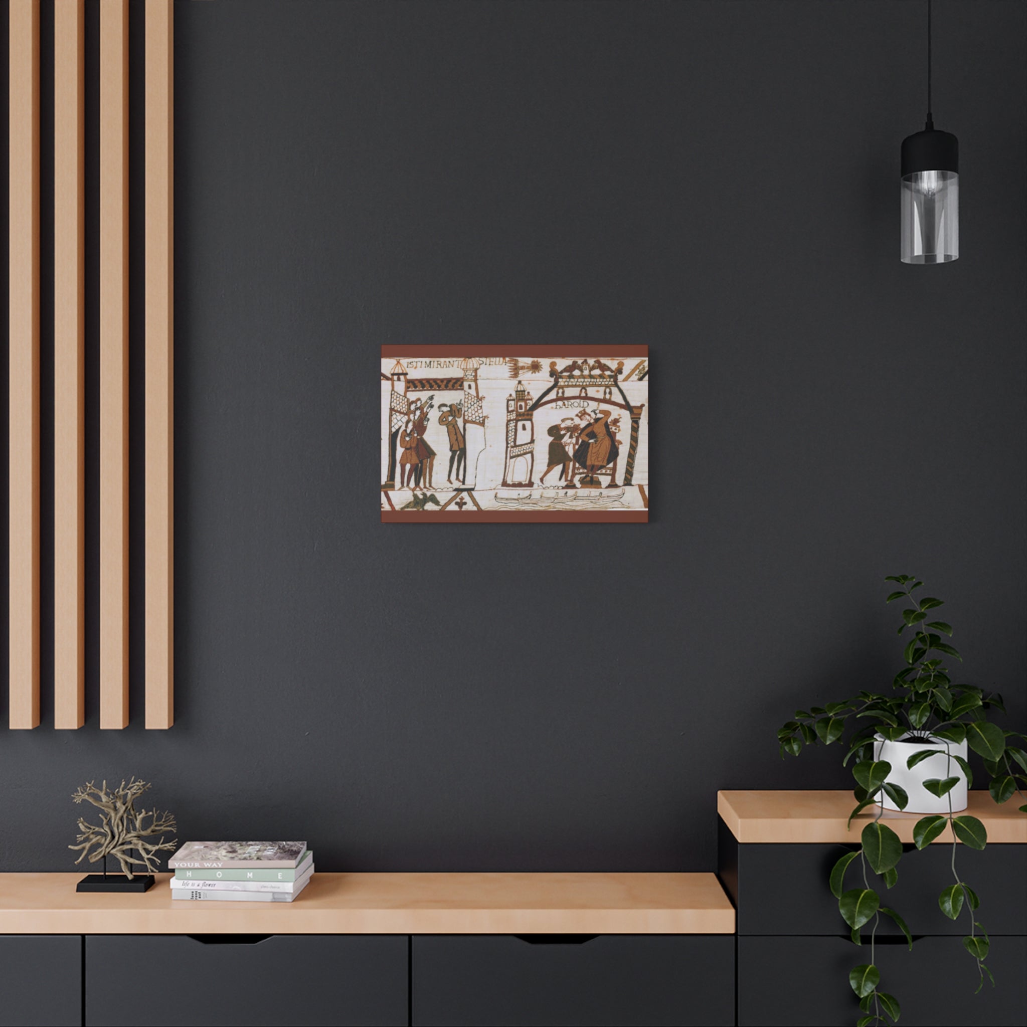 Bayeux Tapestry Halley's Comet Matte Stretched Canvas
