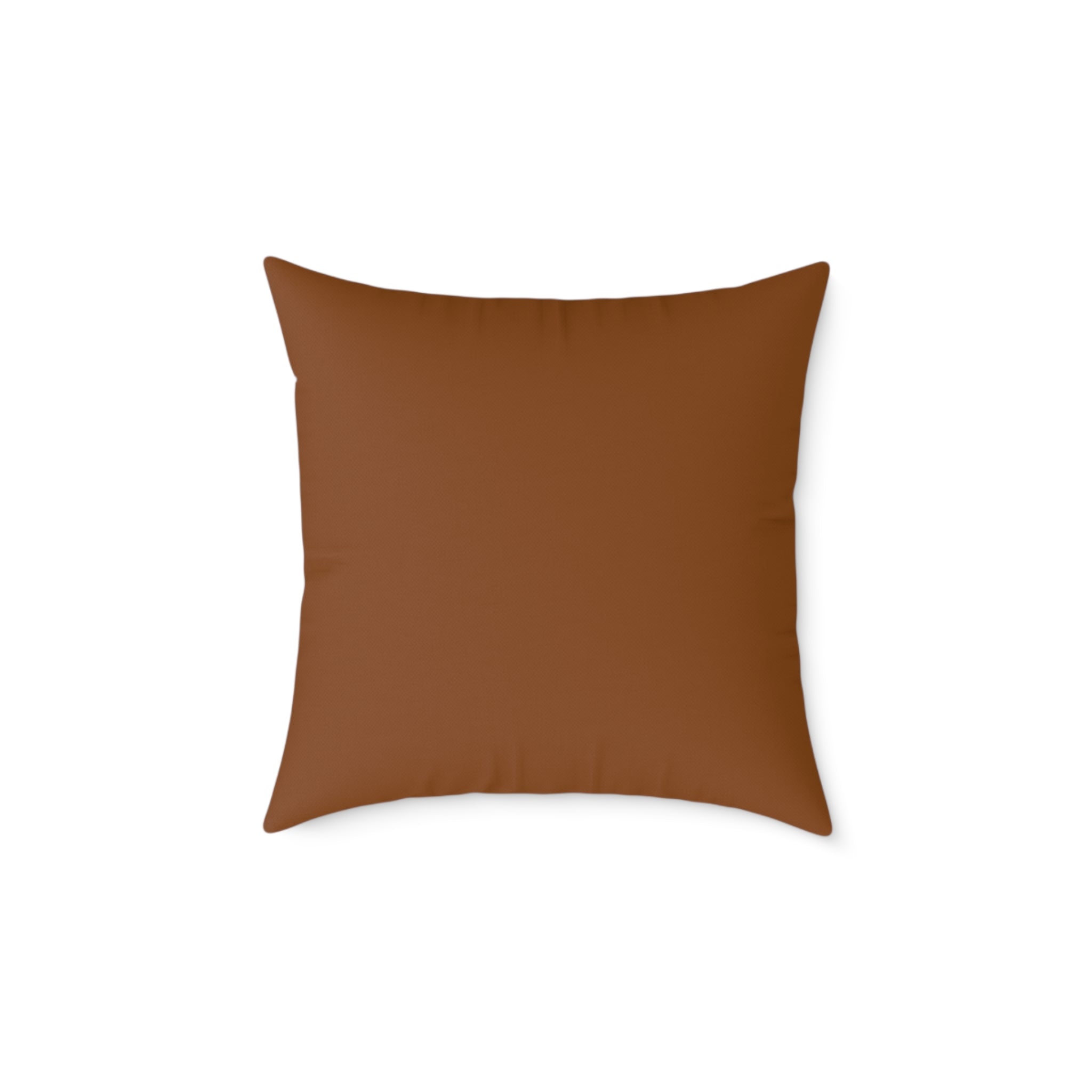 Capitoline Hill & Roman Forum, Ancient Rome Map Pillow | Ancient Rome Throw Pillow