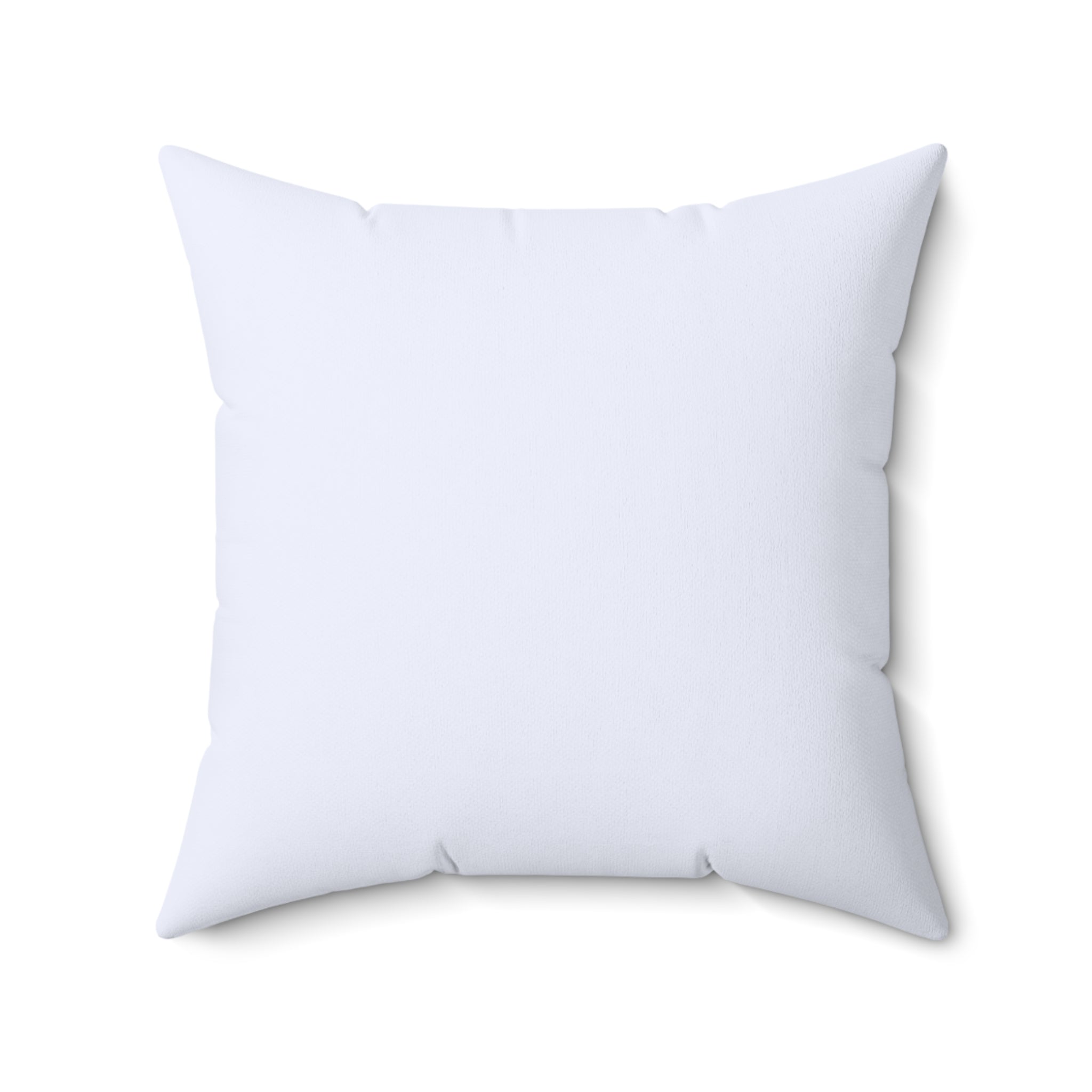 Pantheon Rome Architectural Engraving Pillow | Classical Antique Print