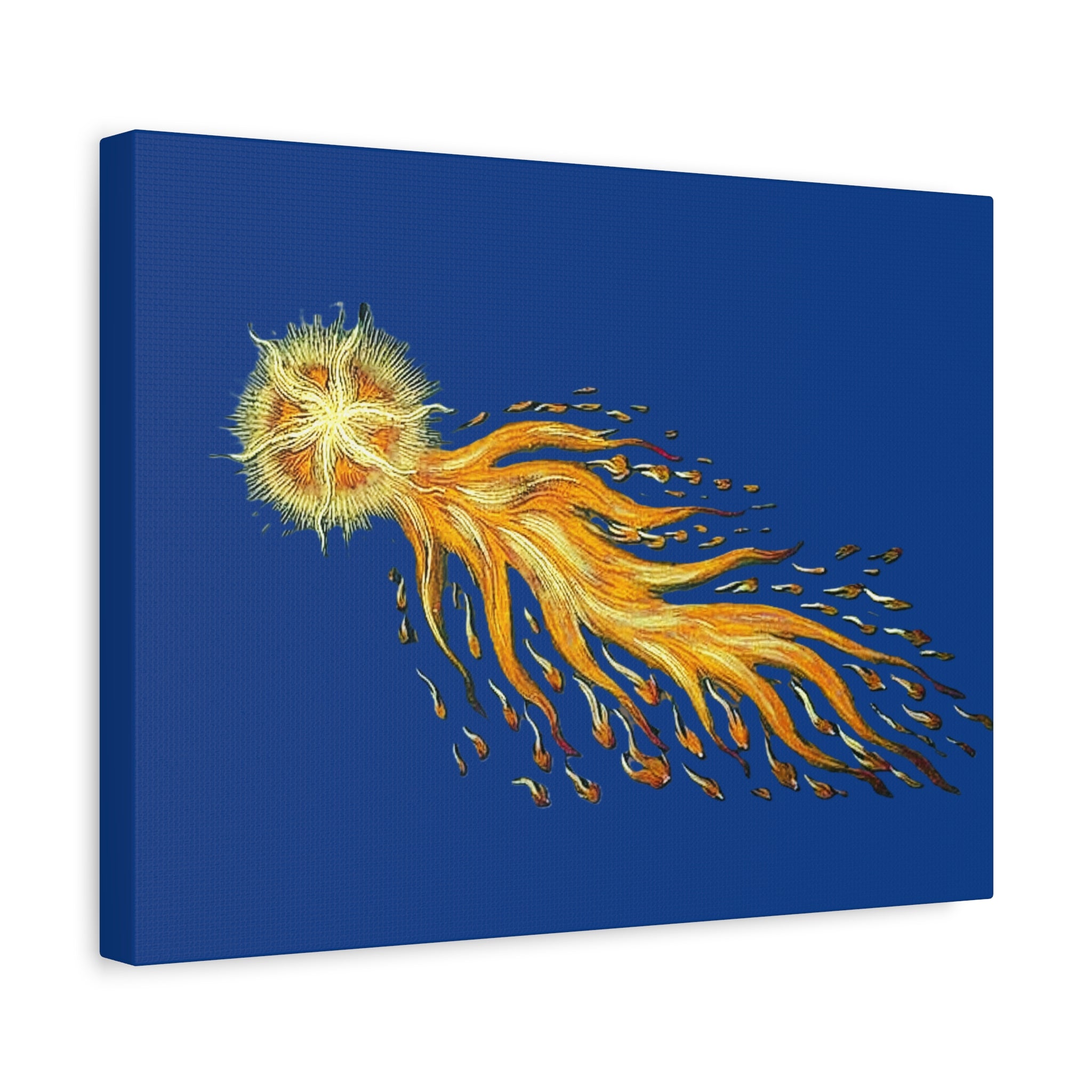 Golden Comet Illustration Matte Canvas