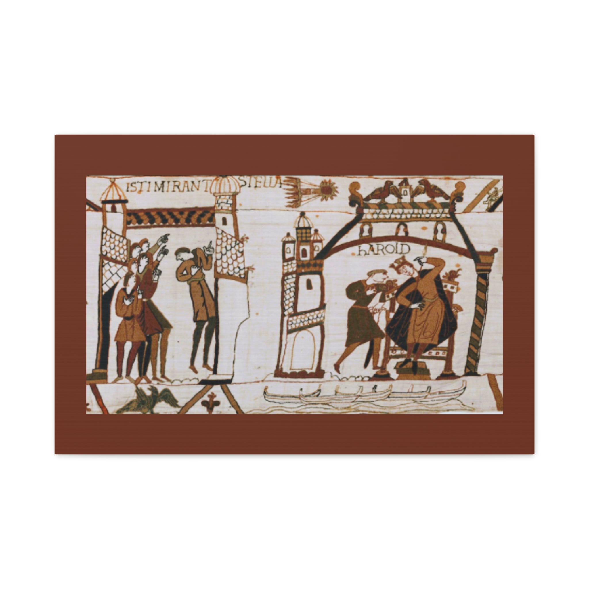 Bayeux Tapestry Halley's Comet Matte Stretched Canvas