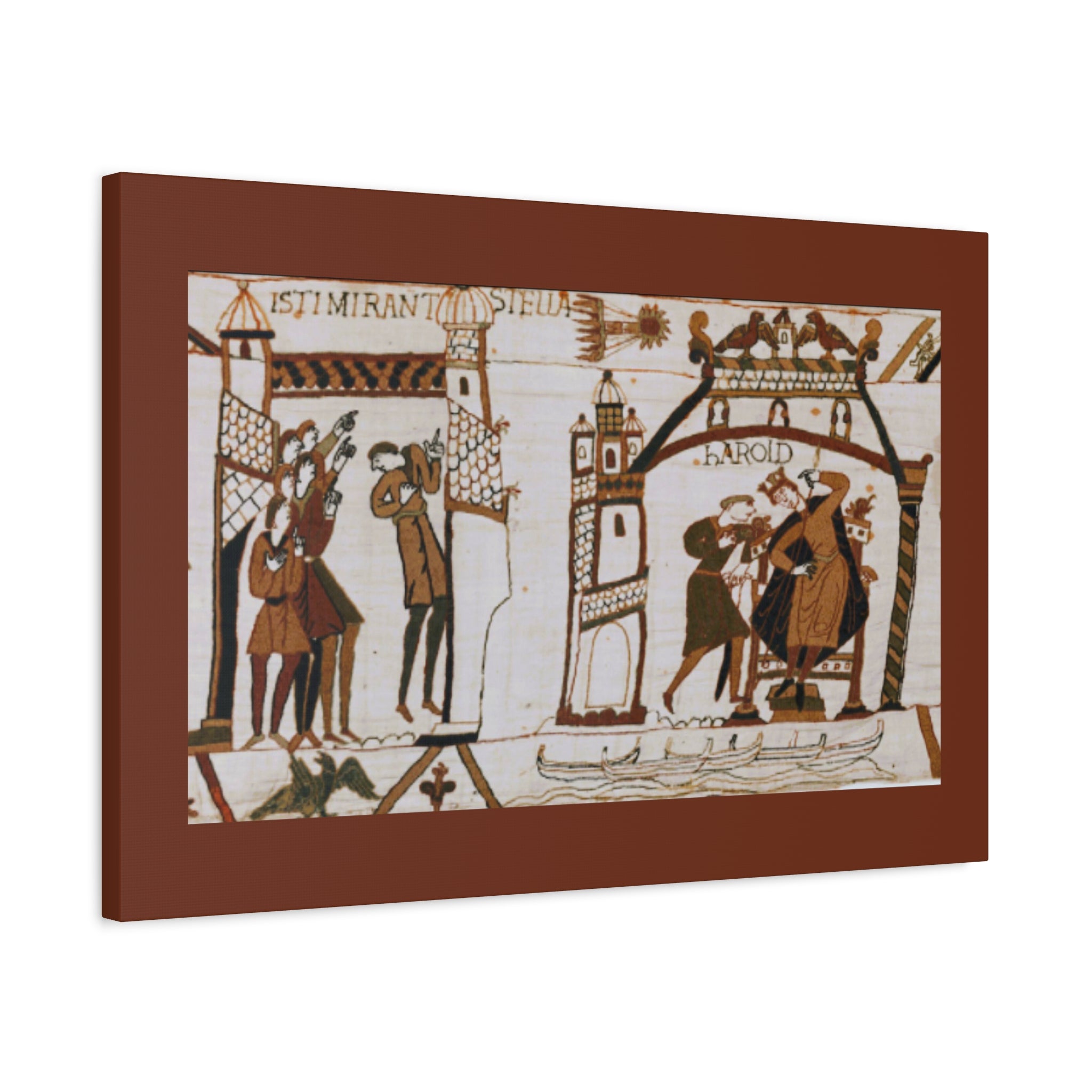 Bayeux Tapestry Halley's Comet Matte Stretched Canvas