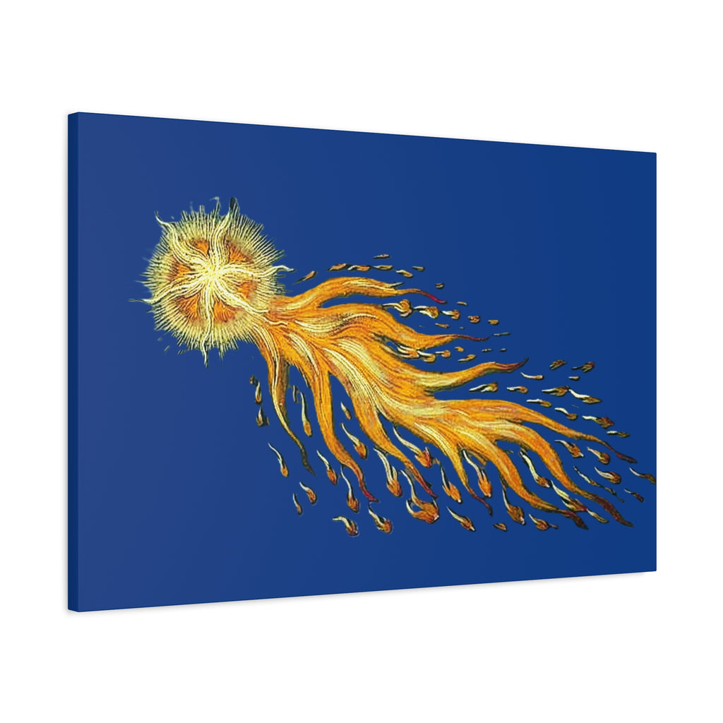 Golden Comet Illustration Matte Canvas