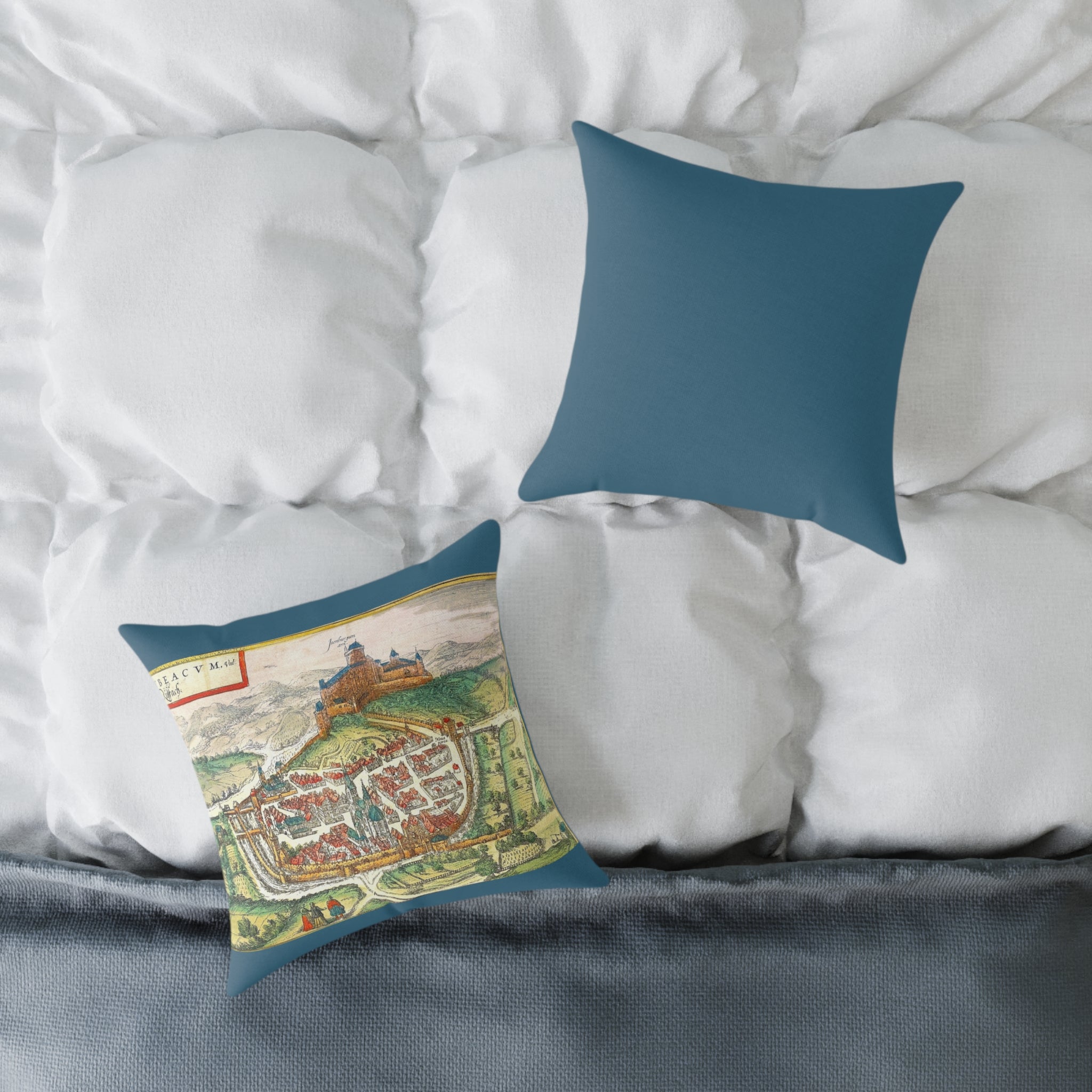 Rouffach Alsace Vintage Cityprint Pillow