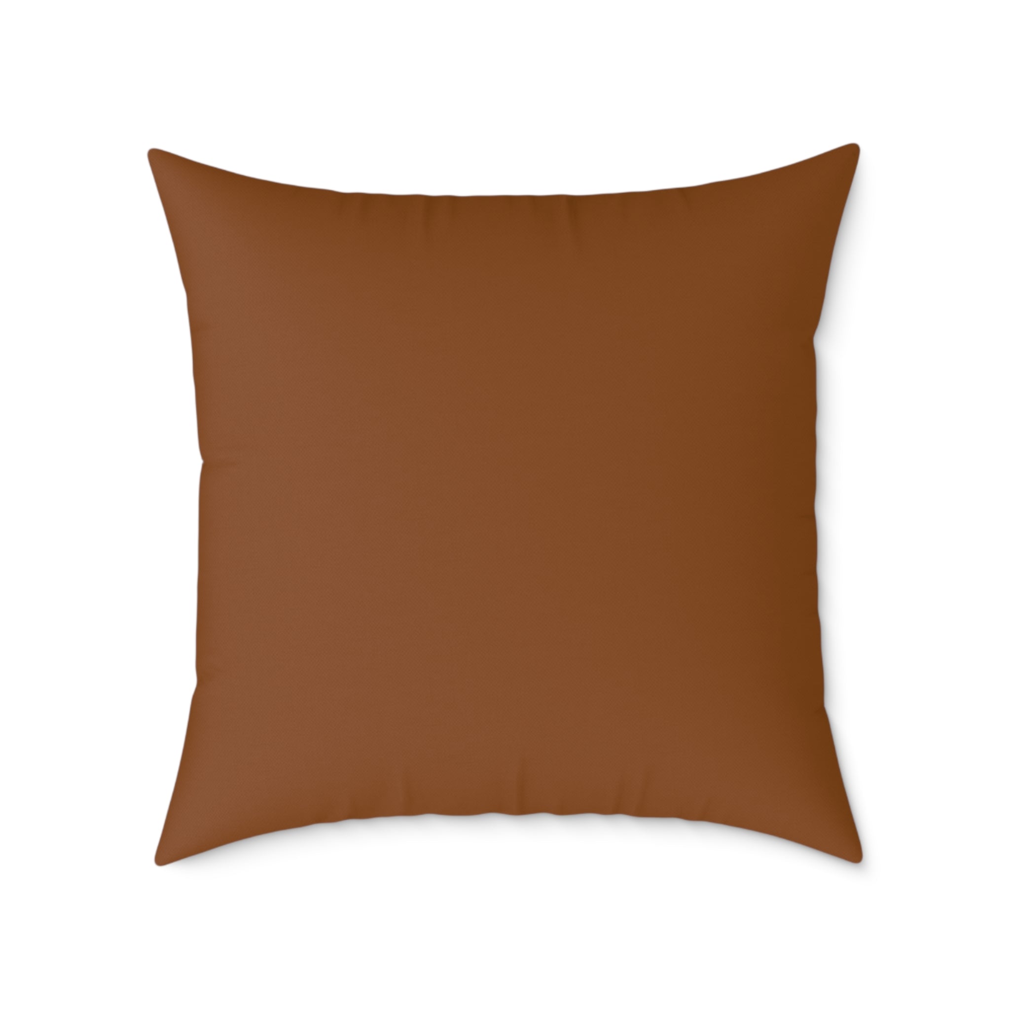 Capitoline Hill & Roman Forum, Ancient Rome Map Pillow | Ancient Rome Throw Pillow