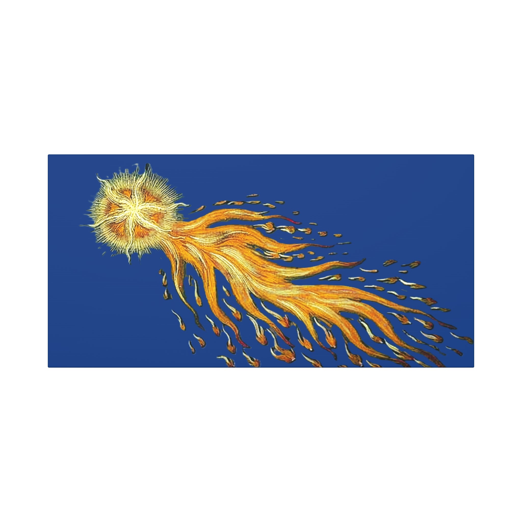 Golden Comet Illustration Matte Canvas