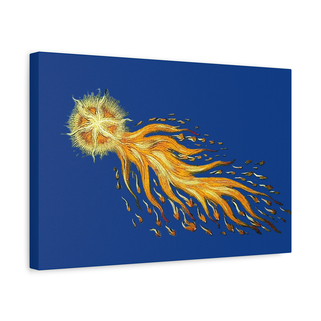 Golden Comet Illustration Matte Canvas