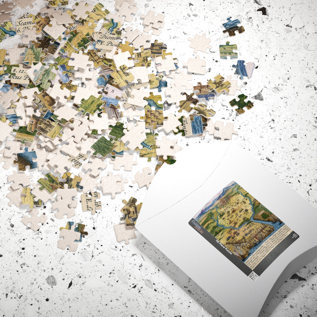 City of Troy Historic Map Jigsaw Puzzle — Vintage Cartography 110/252/520-Piece