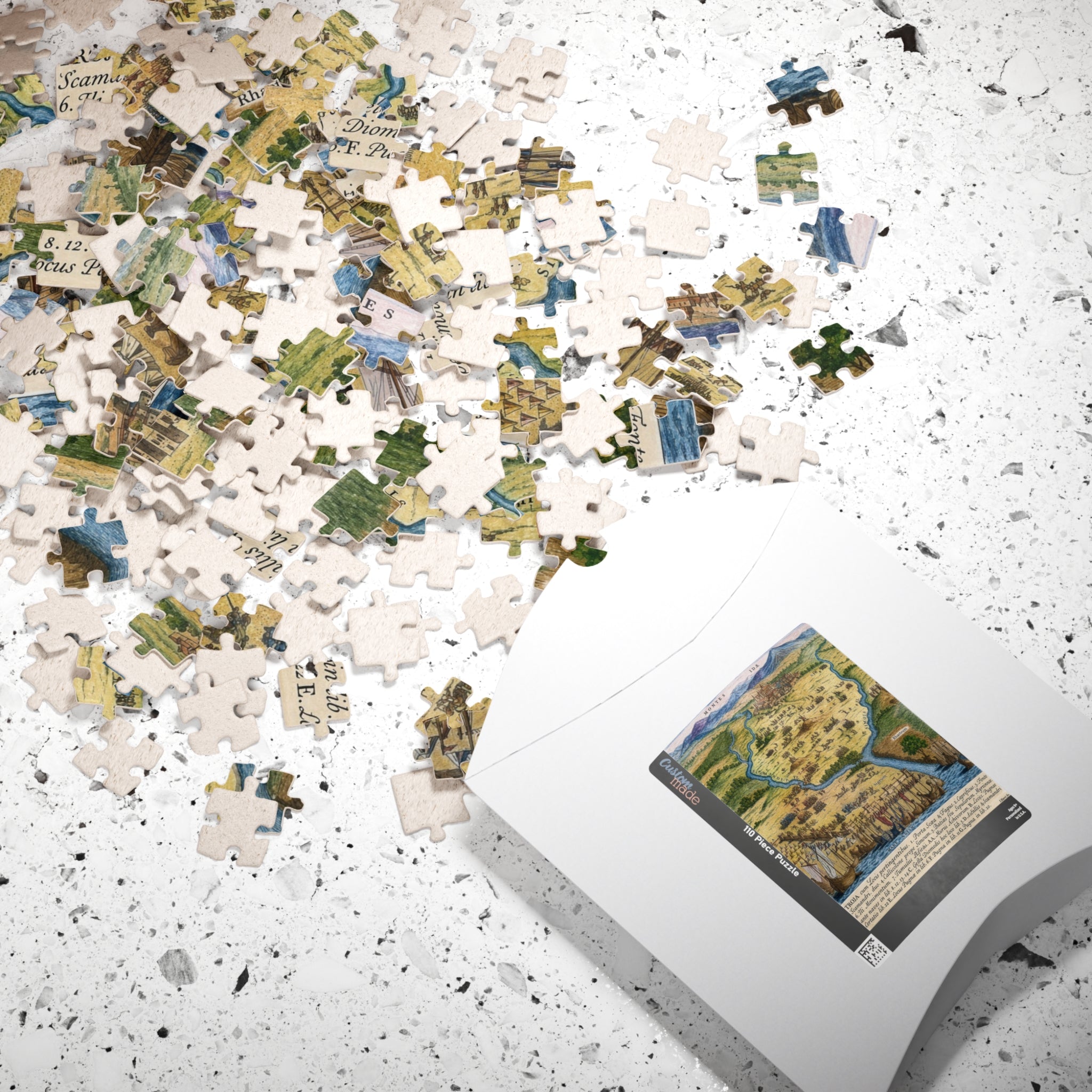 City of Troy Historic Map Jigsaw Puzzle — Vintage Cartography 110/252/520-Piece