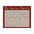 Bayeux Tapestry Continuous Scene Satin Poster | Medieval Norman Conquest Wall Art