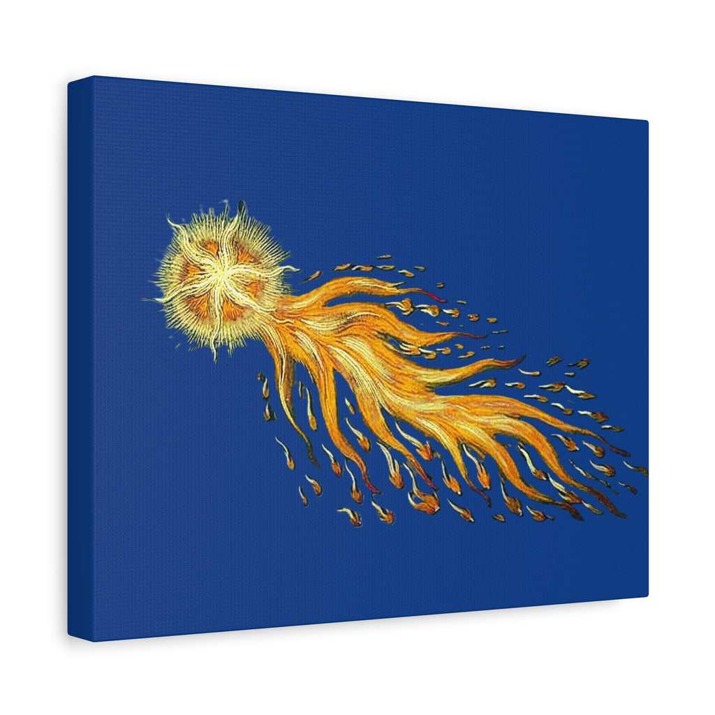 Golden Comet Illustration Matte Canvas