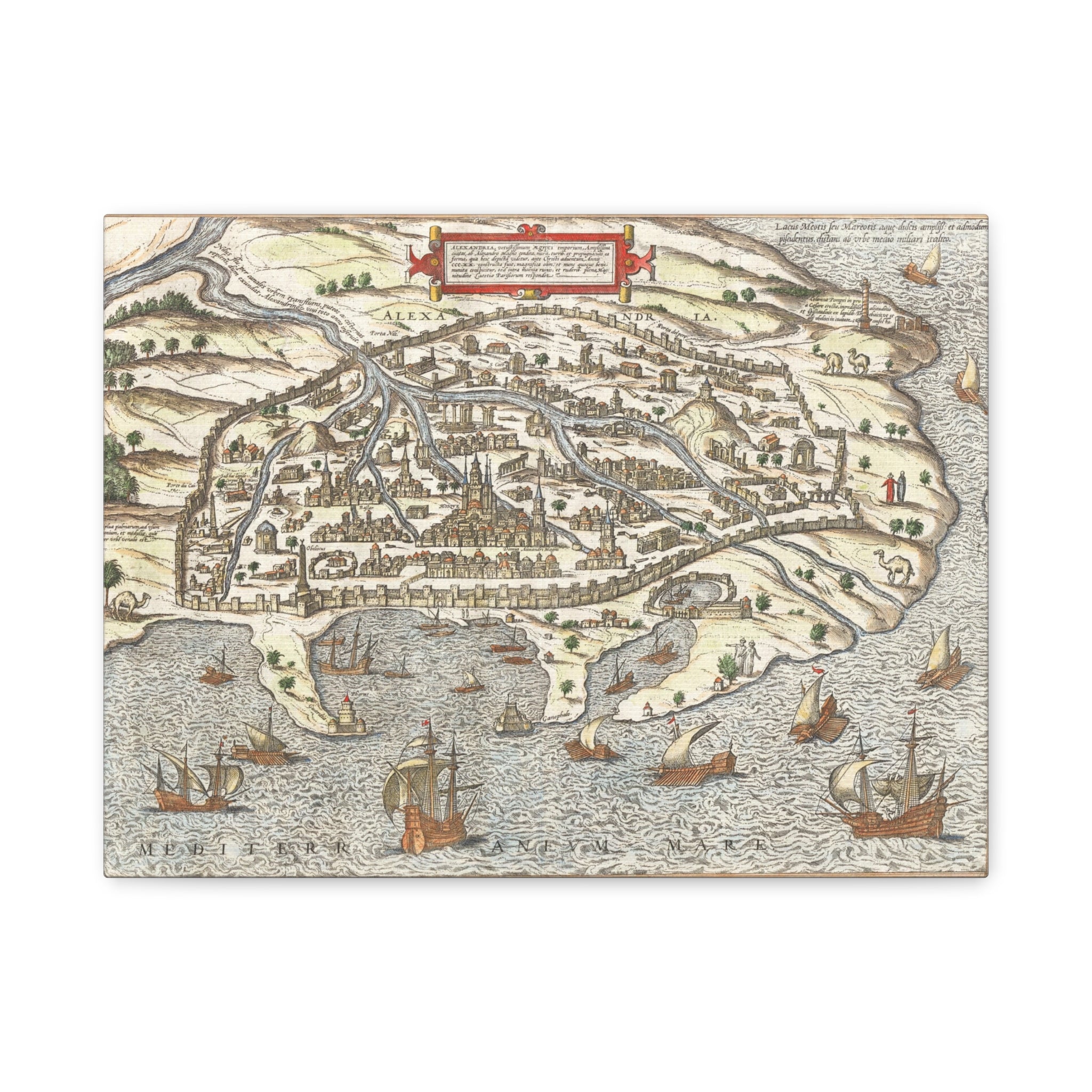 Braun and Hogenberg's Alexandria--Renaissance View of the Egyptian Great Port City