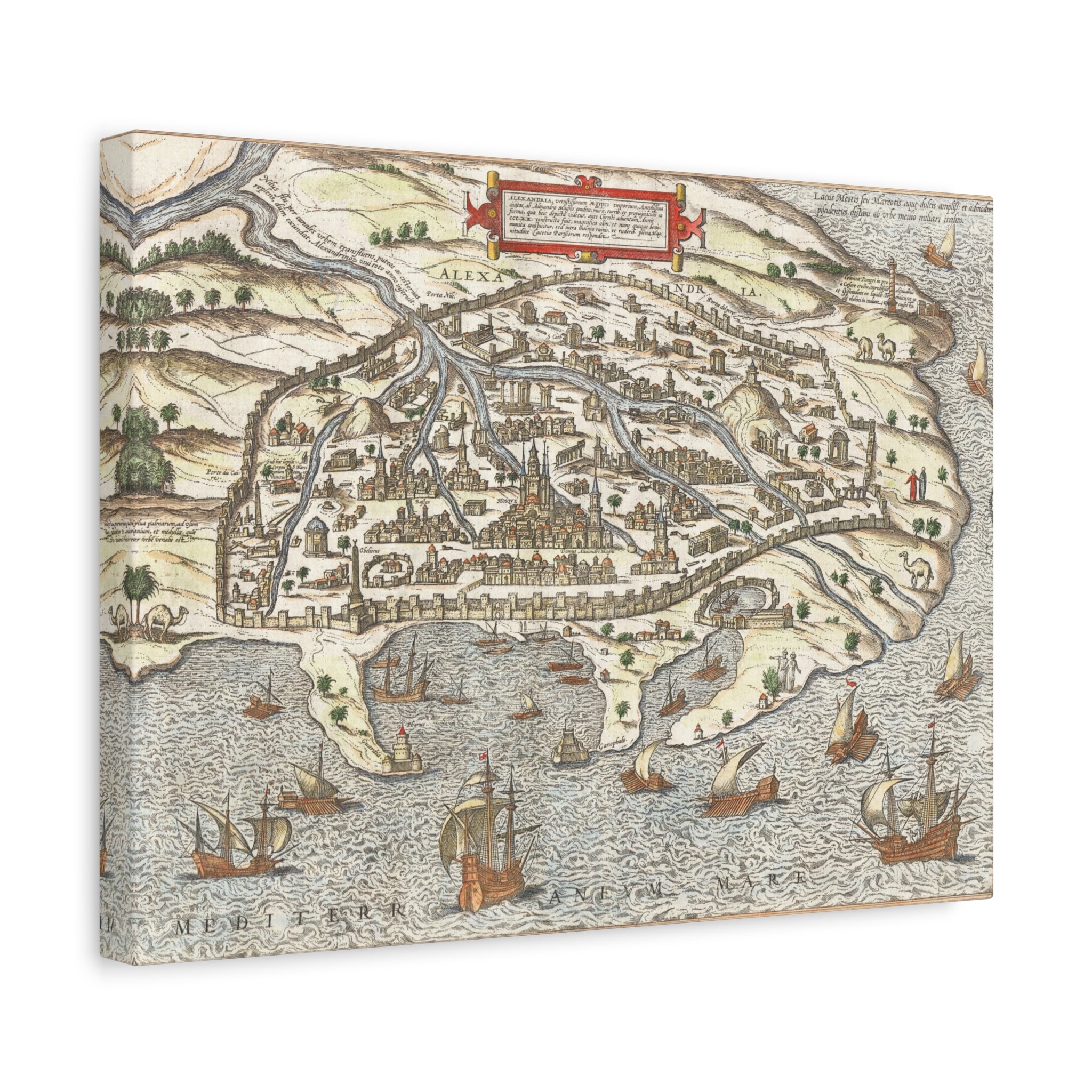 Braun and Hogenberg's Alexandria--Renaissance View of the Egyptian Great Port City