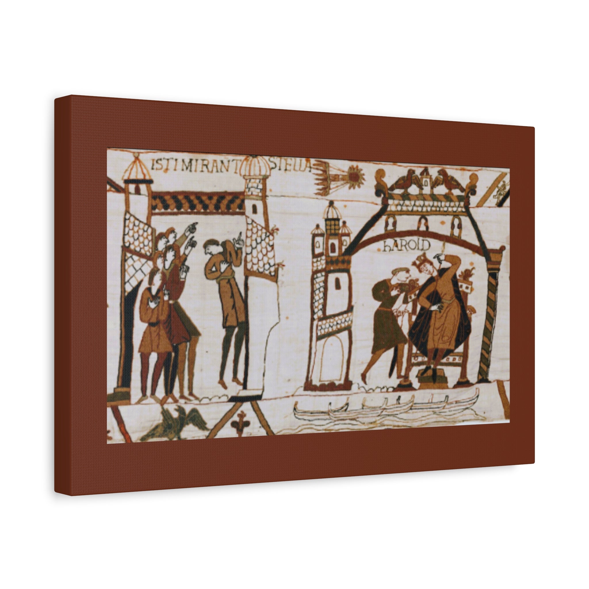 Bayeux Tapestry Halley's Comet Matte Stretched Canvas